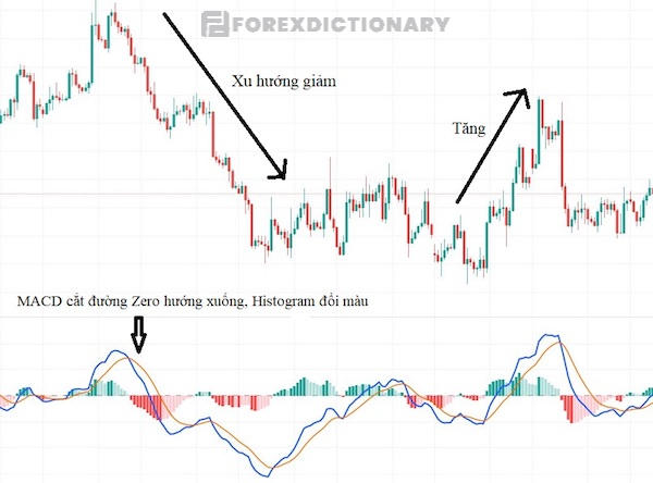 Xác định xu hướng thị trường dựa vào cách đường MACD cắt đường Zero