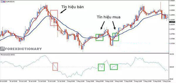 Giao dịch với Momentum cùng xu hướng đảo chiều để tìm thời điểm vào lệnh thích hợp