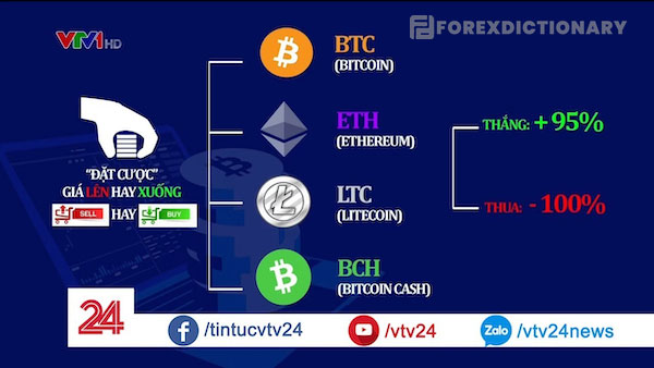 Tại sao Wefinex lại trở thành xu hướng?