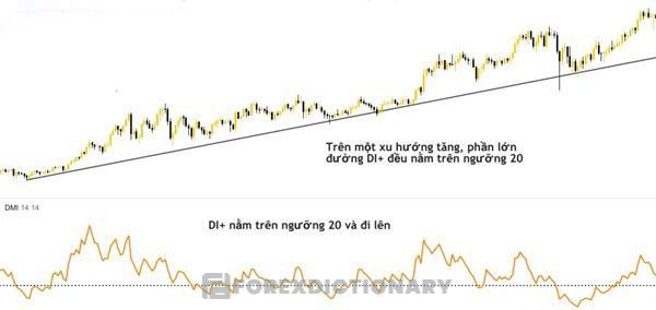 Đường DI+ càng cao cho thấy thị trường càng tăng mạnh