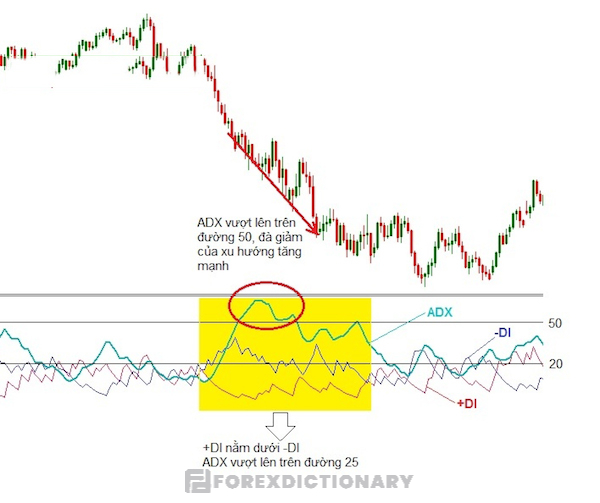 Xác định xu hướng của thị trường nhờ vào chỉ báo ADX