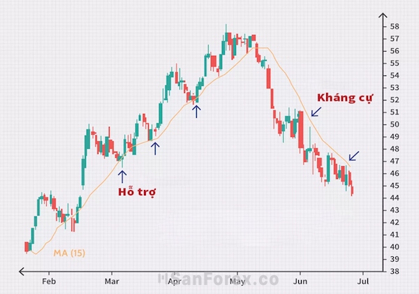 Xác định kháng cự và hỗ trợ cũng như xu hướng giá thị trường