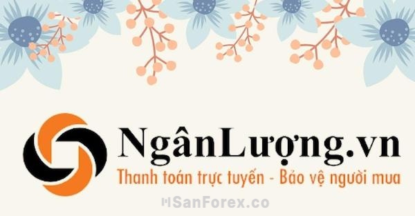 Ví Ngân Lượng cũng được sử dụng rộng rãi trên nền tảng MT4