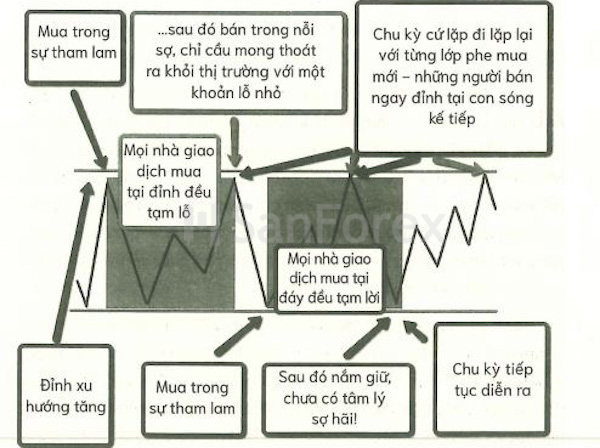 Tâm lý thị trường ở vùng hỗ trợ và ngưỡng kháng cự